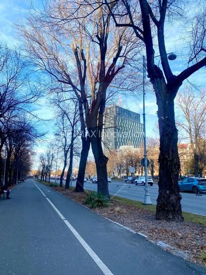 Spațiu comercial de 196.25mp de închiriat în zona Aviatorilor - 3