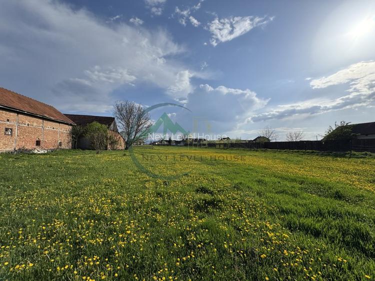 Teren 9500 mp plus Casa plus Anexe Gospodaresti - 5