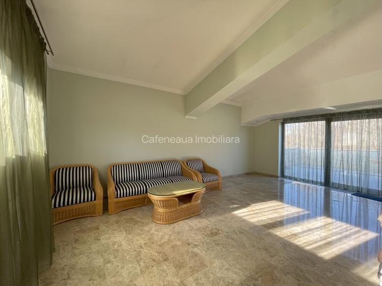 Vila Parc Bazilescu-Oportunitate investitie - 10