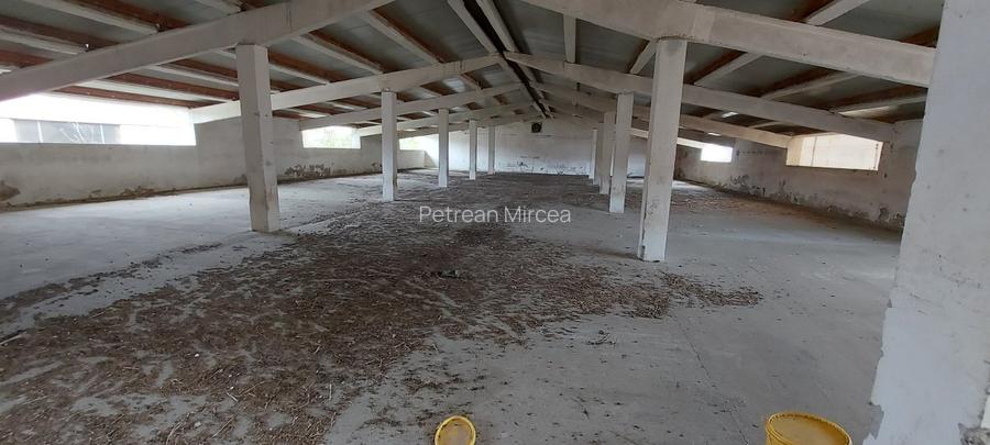 Vand Fost Complex de porci - 8