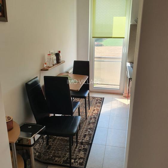 Inchiriez apartament tip studio cu garaj si anexa, Str. Terra, Cluj Napoca - 8
