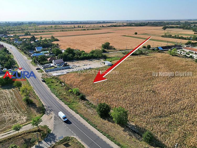 AZURA Imobiliare - Teren la DN7 langa Gaesti, Crangurile - Badulesti - 8