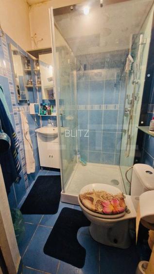 Casa cu 2 corpuri in curte, individuala,  7 camere, 150 mp, zona Bartolomeu - 10