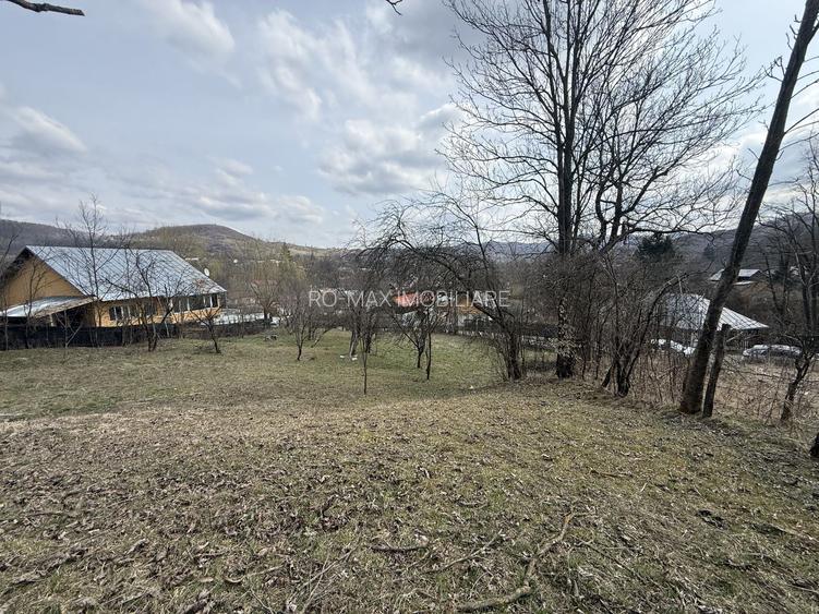 Teren 6040 mp la baza pădurii deschidere 40 ml - 7