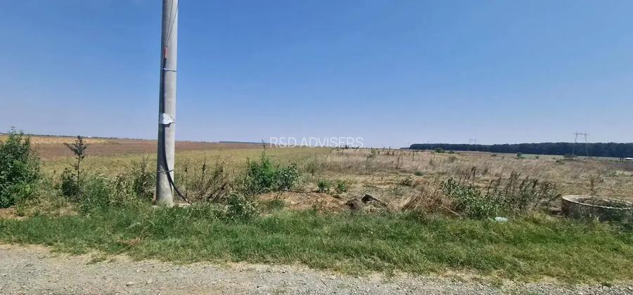 Vând Teren 1543mp lângă Pădure Zona Cătălin Hâldan | Utilități la lot - 2