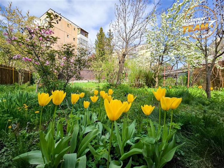 Casa pe strada Lazar Mihaly, Sfantu Gheorghe, cu 645 mp teren - 25