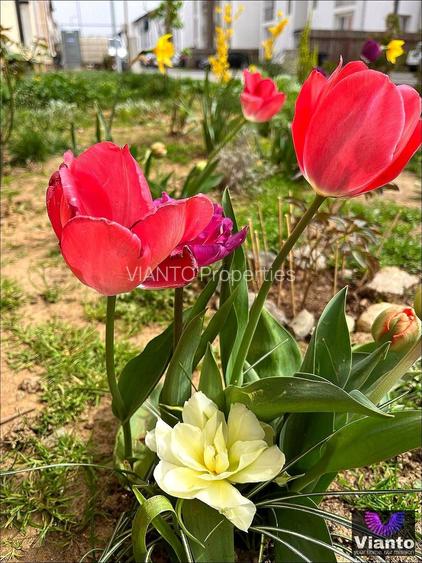 APARTAMENT 3 CAMERE 83 MP | MOBILAT SI UTILAT | LOC DE PARCARE - 16