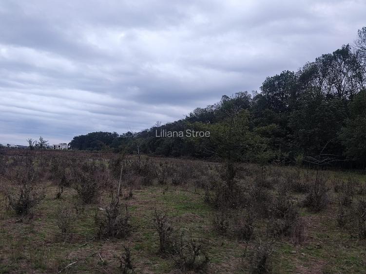 Proprietar,Sos.Pipera,lângă pădurea Băneasa,teren 950mp,vile MANOR,Oxford Gard. - 2