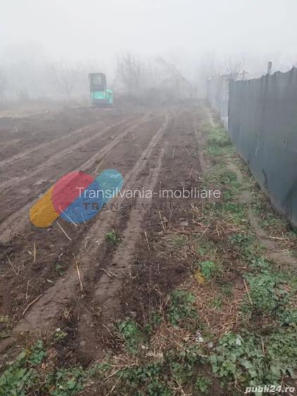 Teren intravilan 7600mp - Tureni - 2