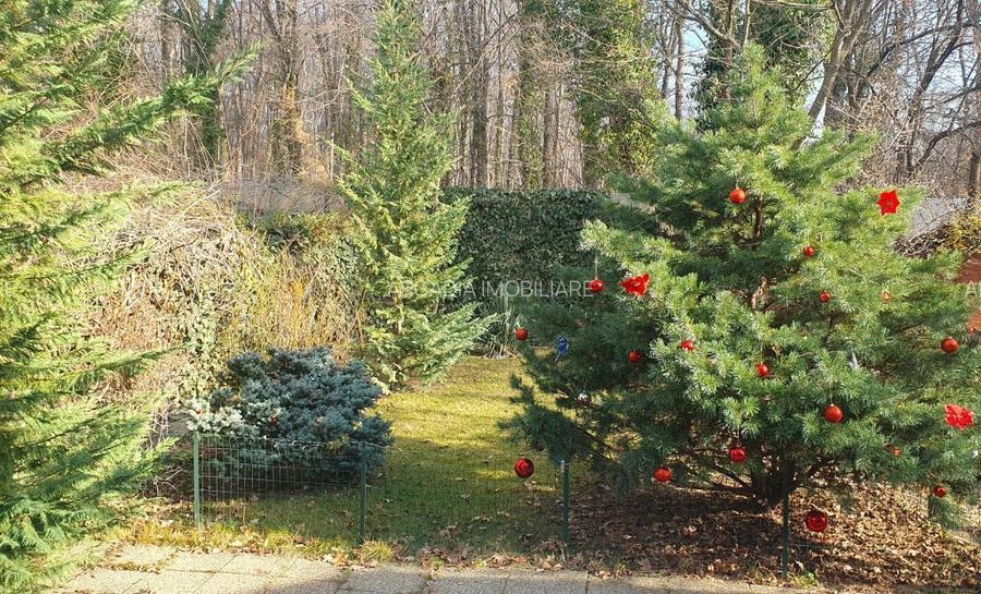 Vanzare vila 5 camere | Langa padure | Bucuresti | Baneasa - 18