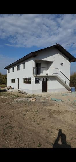 Vand Casa P+1 cu teren 2000 mp in Com Mosteni Judetul Teleorman - 2