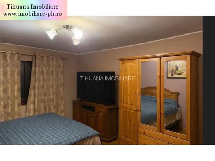 Casa de vanzare:Malu Rosu(compusa din 2 imobile separate in aceasi curte) - 9