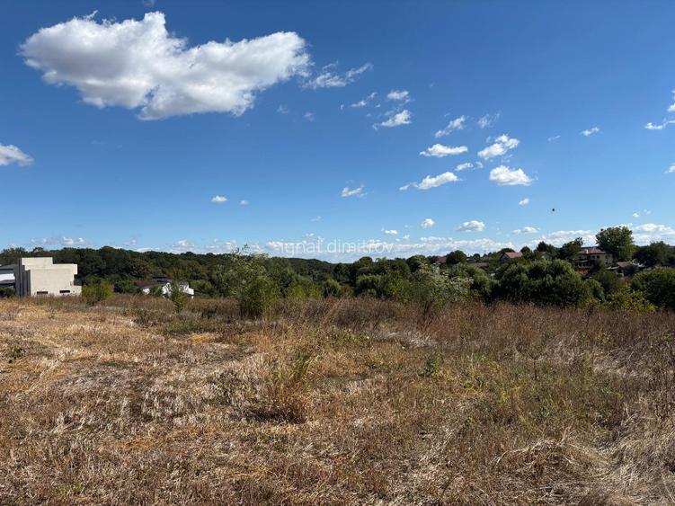 Teren Moara Vlasiei lac toate utilitatile - 2