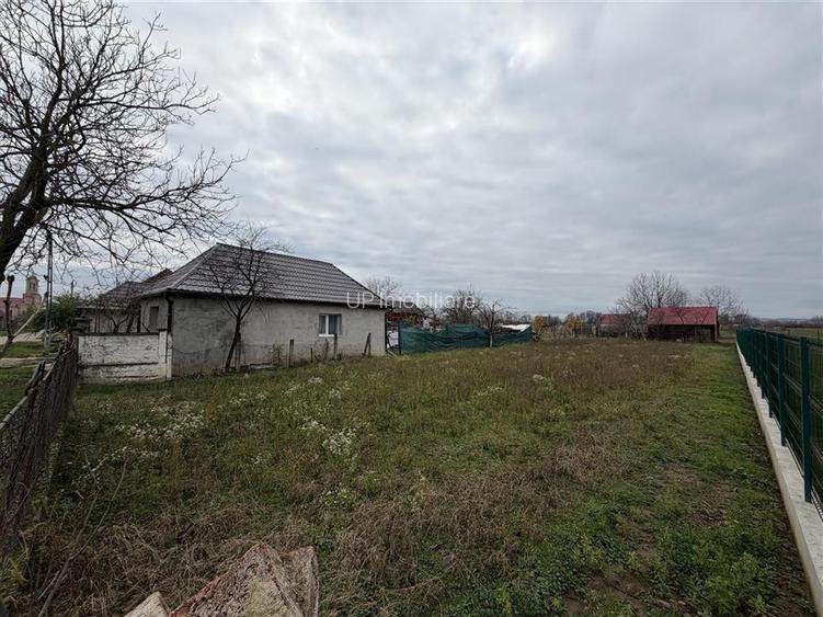 TEREN INTRAVILAN 746 MP | ZONA SABOLCIU - 3