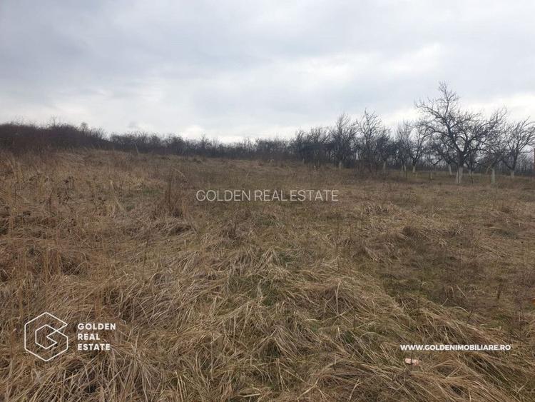 Teren intravilan 3841 mp, situat central, Covasint - 2