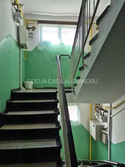 Apartament 2 camere de vanzare zona Alexandru cel Bun Iasi - 9