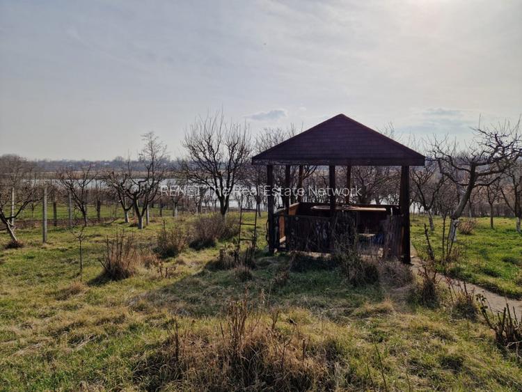 Teren - Roman  -Trifesti - ieșire la lac - livada pe rod - 11