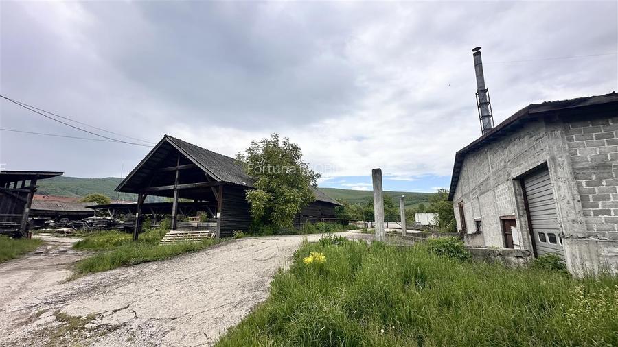 Hale industriale Teliu - 145000e  200.000e  350000e - 6