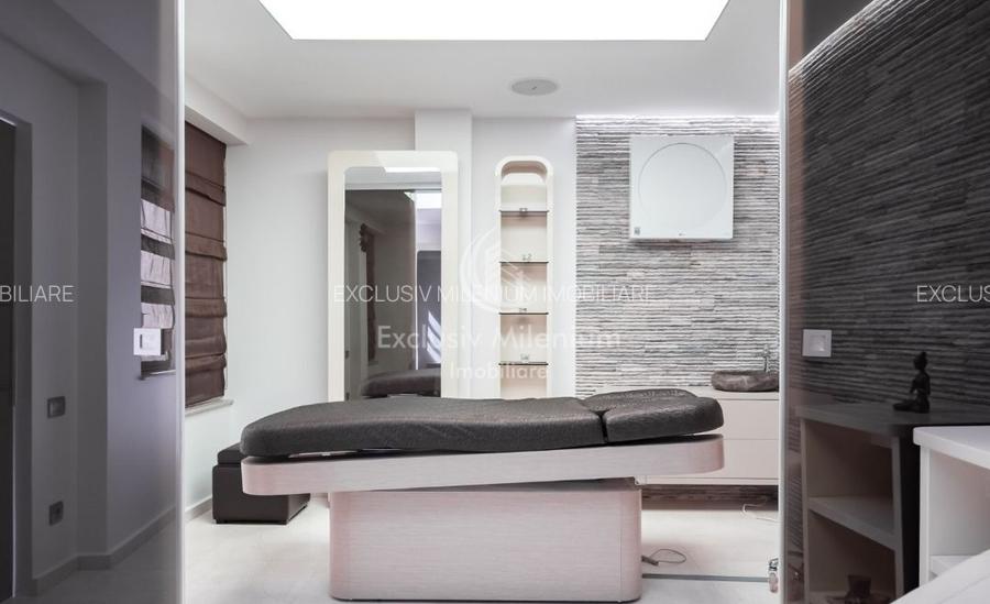 Vila/Casa Clinica /Salon de infrumusetare Lacul Tei  /Parcul Circului birouri  - 13
