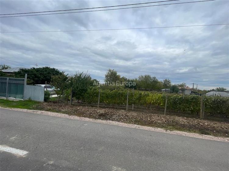 Teren de vanzare in localitatea Iazurile judetul Tulcea - 2