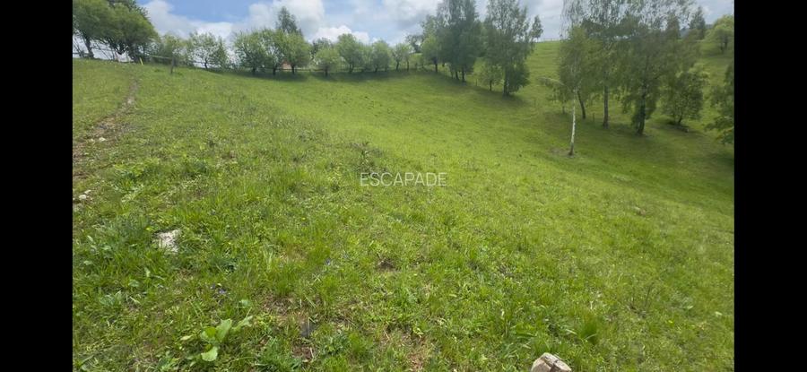 Teren de poveste, intru-un sat de poveste Pestera/Moeciu/Brasov - 6