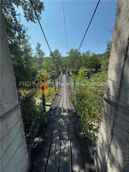 Ansamblu cabanute zona Cozieni - 24