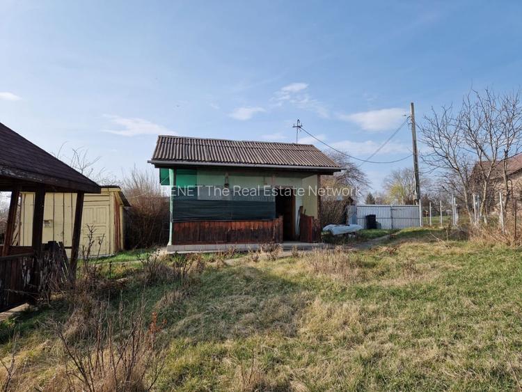 Teren - Roman -Trifesti - ieșire la lac - livada pe rod - 6