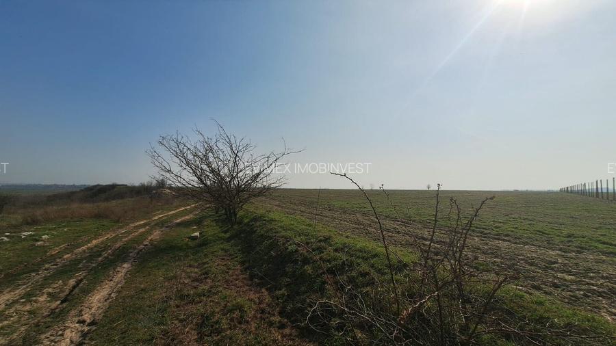 Teren intravilan -Balaceanca - 3