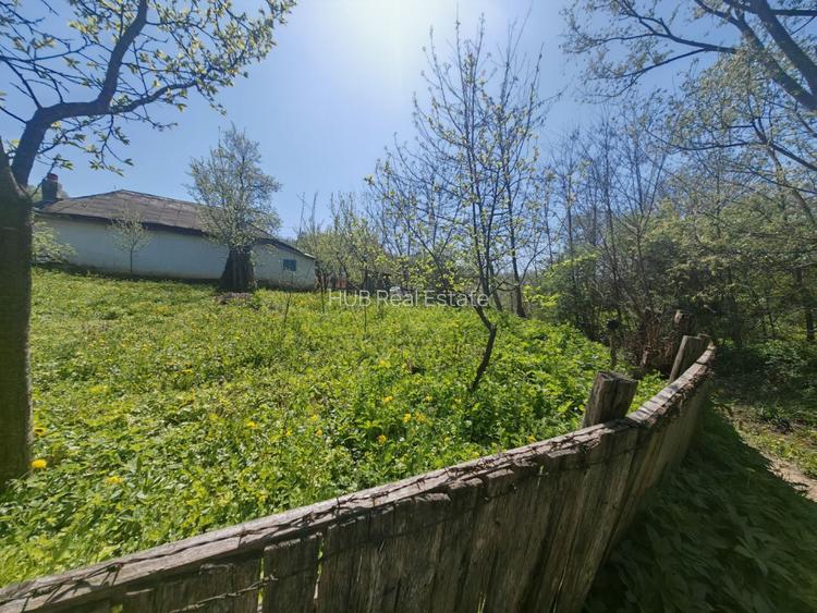 Casa batraneasca in Crihan/Magura | de vanzare - 6