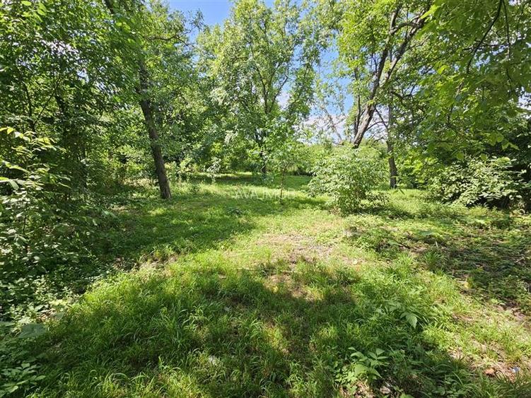 Casa spatioasa de vanzare in centrul satului Racaciuni – teren generos, livada, - 14