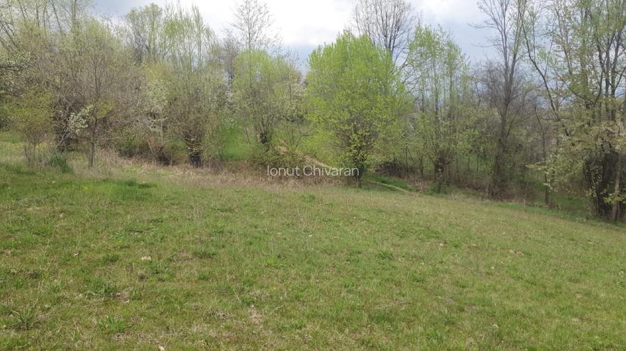 OPORTUNITATE UNICĂ ÎN TOMȘANI (LÂNGĂ HOREZU) – ANSAMBLU TERENURI 9.364 MP - 9