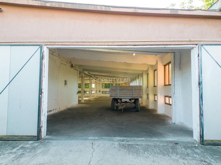 Hală industrială cu multiple destinații în Nădlac - 44