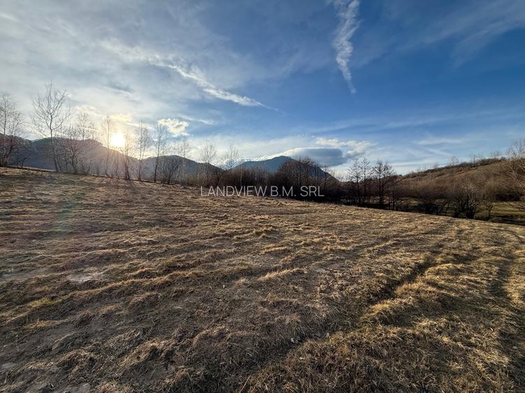 Teren intravilan 500 mp sau 1000 mp în Zarnesti –Tohanita cu parau(izvor) - 4