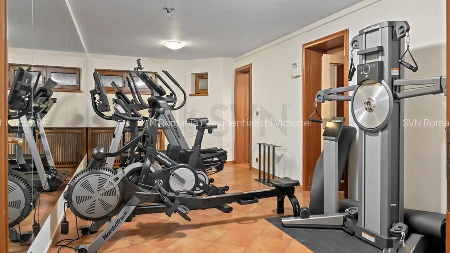 REV2005071 Vila Deosebita cu piscina Erou Iancu Nicolae - 18