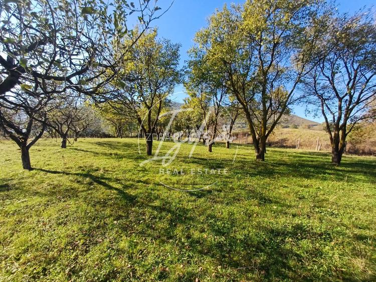 Parcelele cu cele mai bune preturi din judet - 4