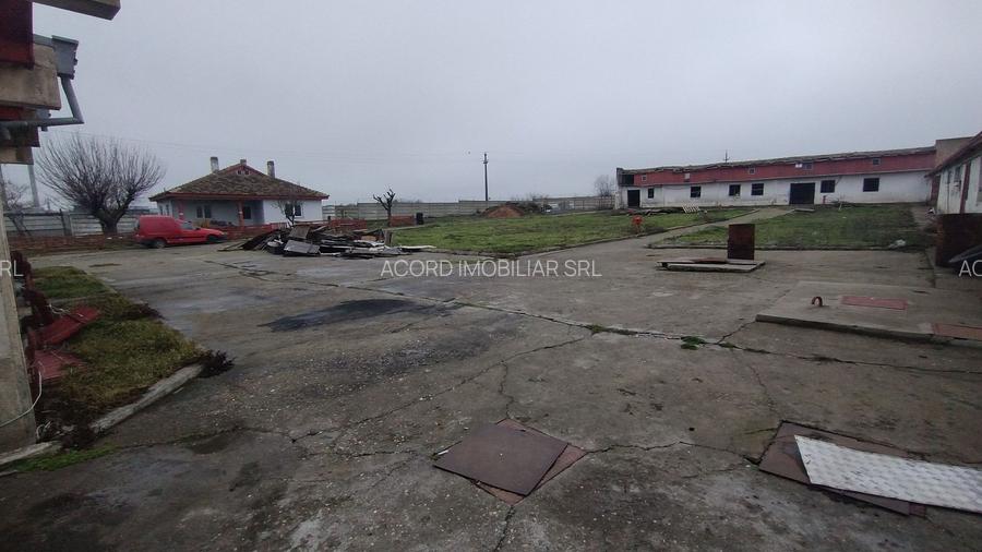 Teren industrial intravilan Ovidiu - 5