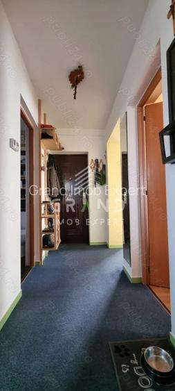 Apartament in vila | 2 camere | Decomandat | Parcare | Curte | Bulgaria/Ira - 10
