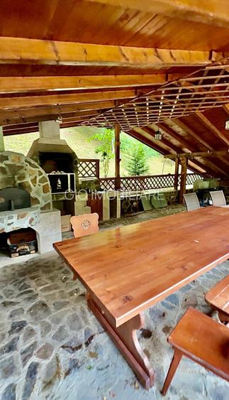 Casa de vacanta sau pensiune | Batca Doamnei | Teren in natura - 11