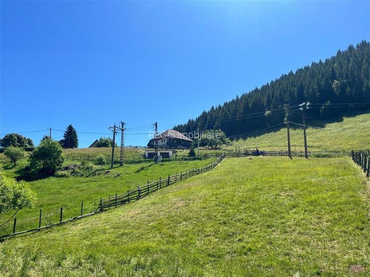 TEREN INTRAVILAN, 1380MP, FUNDATA - 6