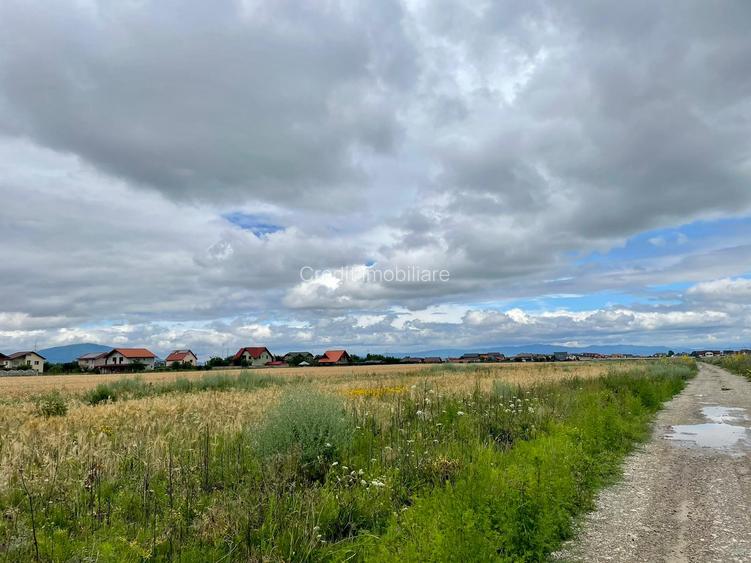 Parcele casa 352mp , Triaj-Sanpetru! - 3