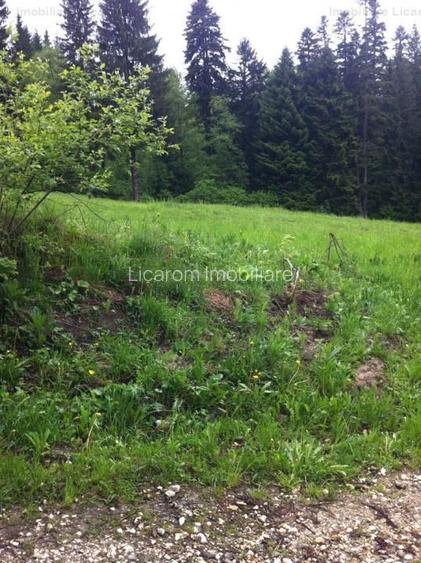 Teren intravilan Cotul Donului,pretabil Hotel/pensiune. - 13