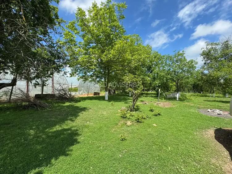Casa cu 4000 mp teren, Letca Noua, Giurgiu — 40 min de București - 9
