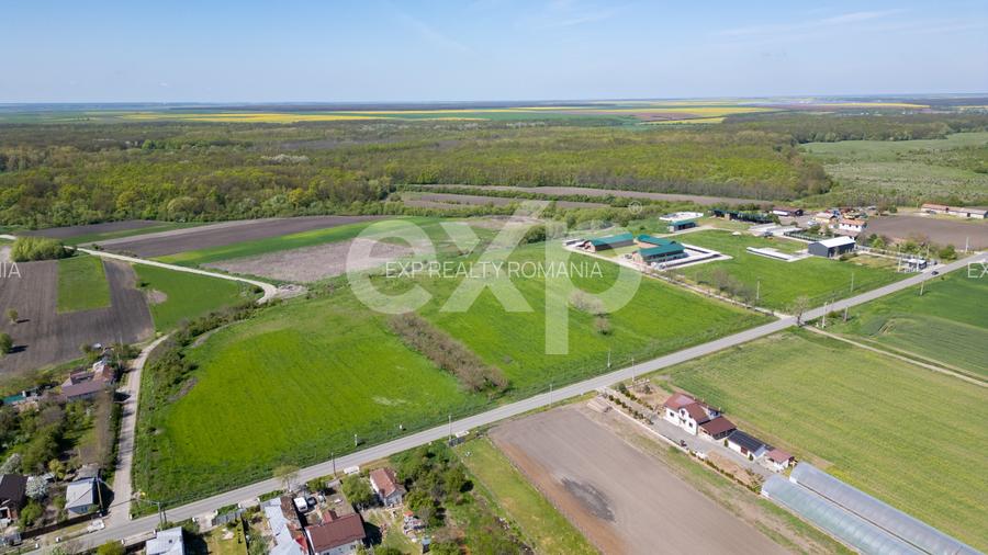 Black Angus Farm with authorized Slaughterhouse - 4