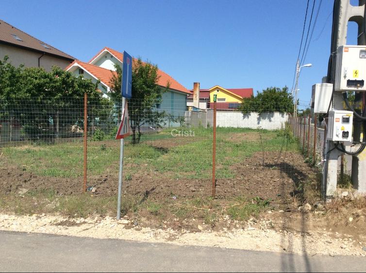 Teren + proiect Palazu Mare - Corneliu Baba - 5