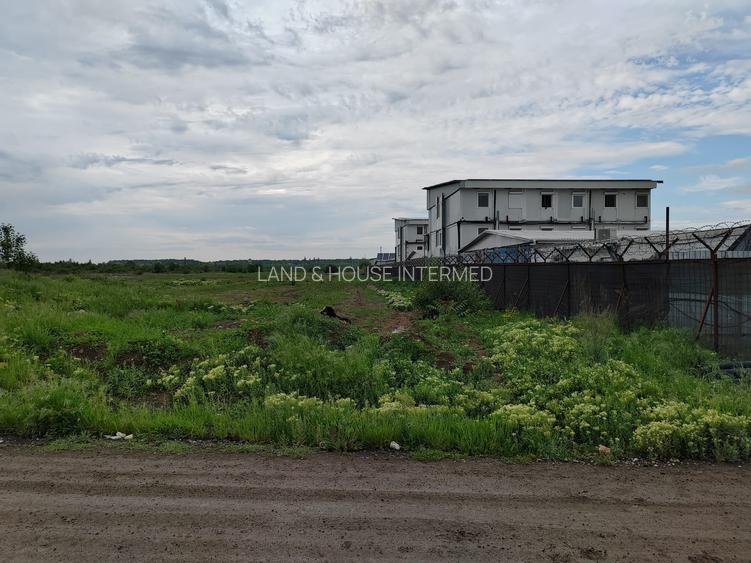 TEREN INTRAVILAN DE VÂNZARE ÎN OTOPENI-ODAI – OPORTUNITATE UNICĂ DE INVESTIȚIE! - 6