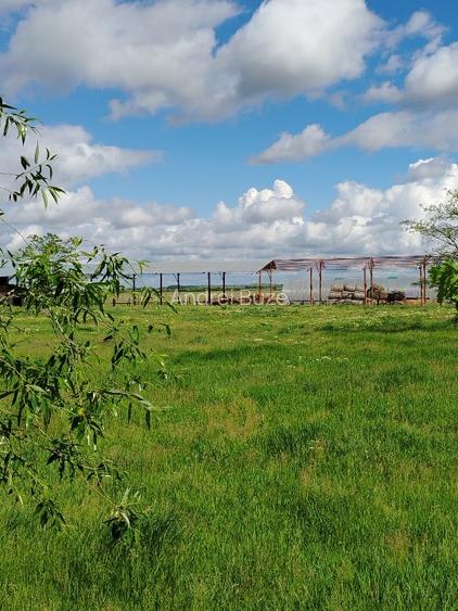 Lac de agrement pentru pescuit – Proprietate completă, 8,1 ha | De vânzare - 9