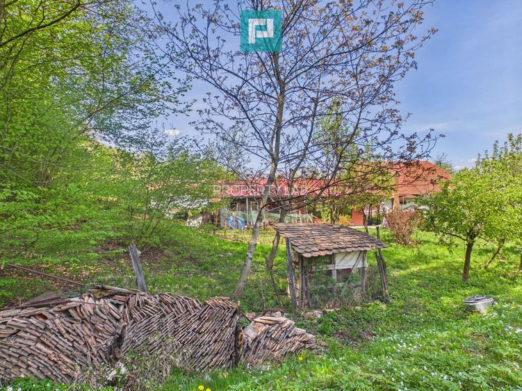Casă Câmpani, 8000 mp teren, la poalele Apusenilor - 4