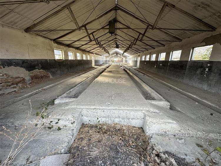 Platforma industriala 27.000mp - Racova - Buhusi - 9