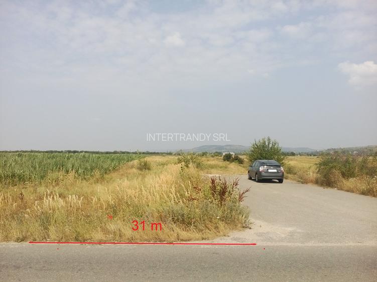 (332) Teren cu proiect : CONSTRUIRE CENTRU PENTRU RECICLAREA DESEURILOR TEXTILE - 2