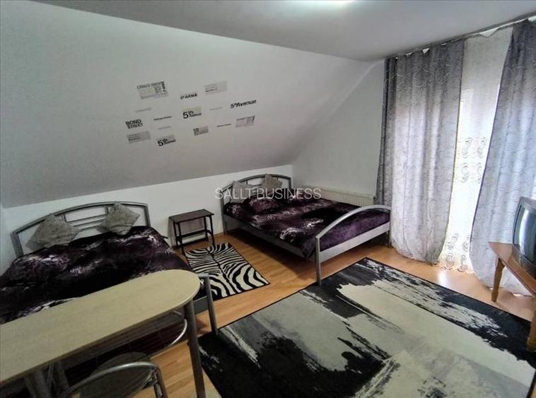 Pensiune in Sasca Montana - 5